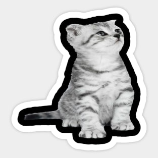 Up-Right Cat Sticker